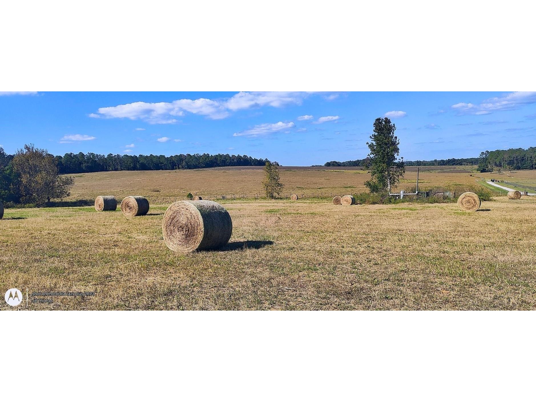 0 Hilltop Horizons Place Dade City FL 33525 TB8401617 image17