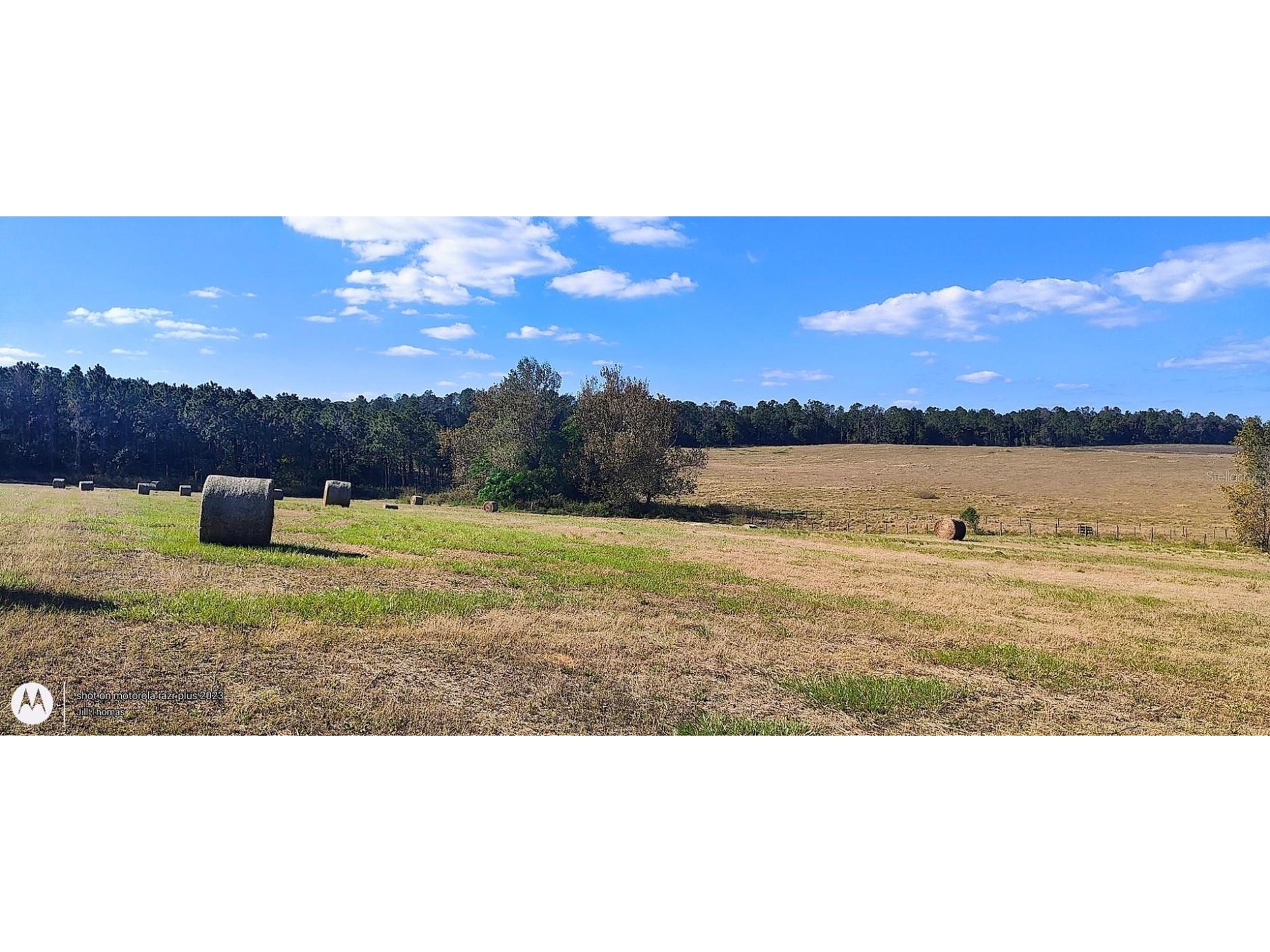 0 Hilltop Horizons Place Dade City FL 33525 TB8401617 image18