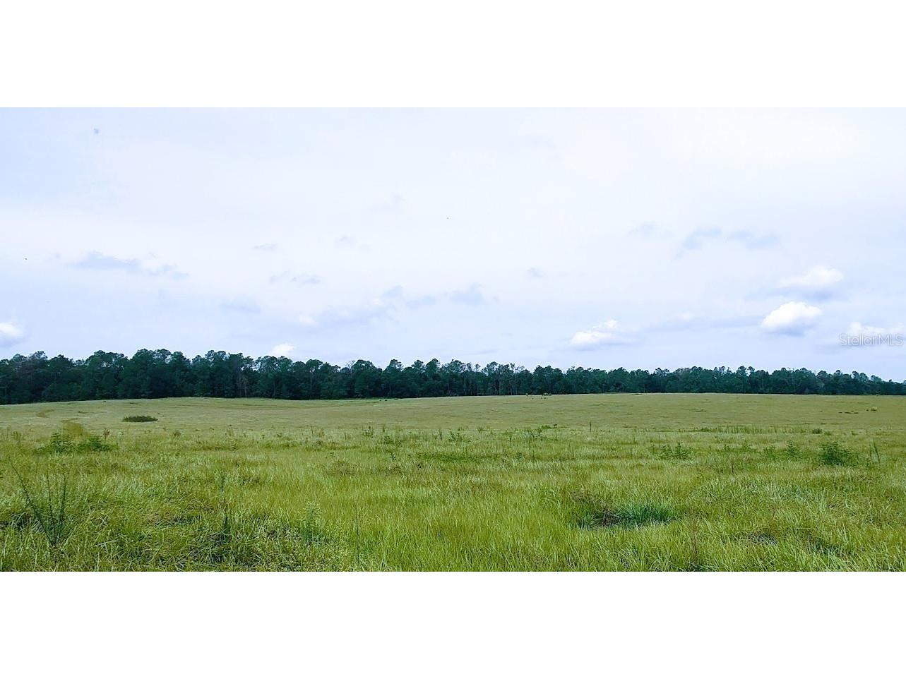 0 Hilltop Horizons Place Dade City FL 33525 TB8401617 image3