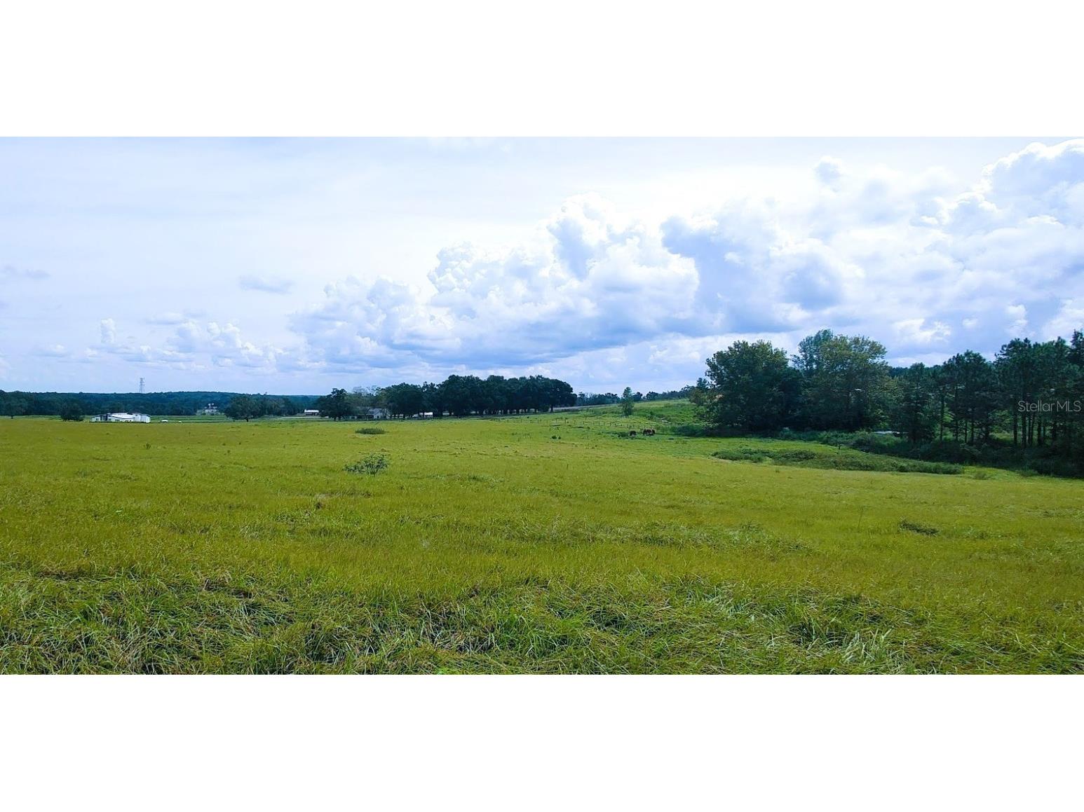 0 Hilltop Horizons Place Dade City FL 33525 TB8401617 image4