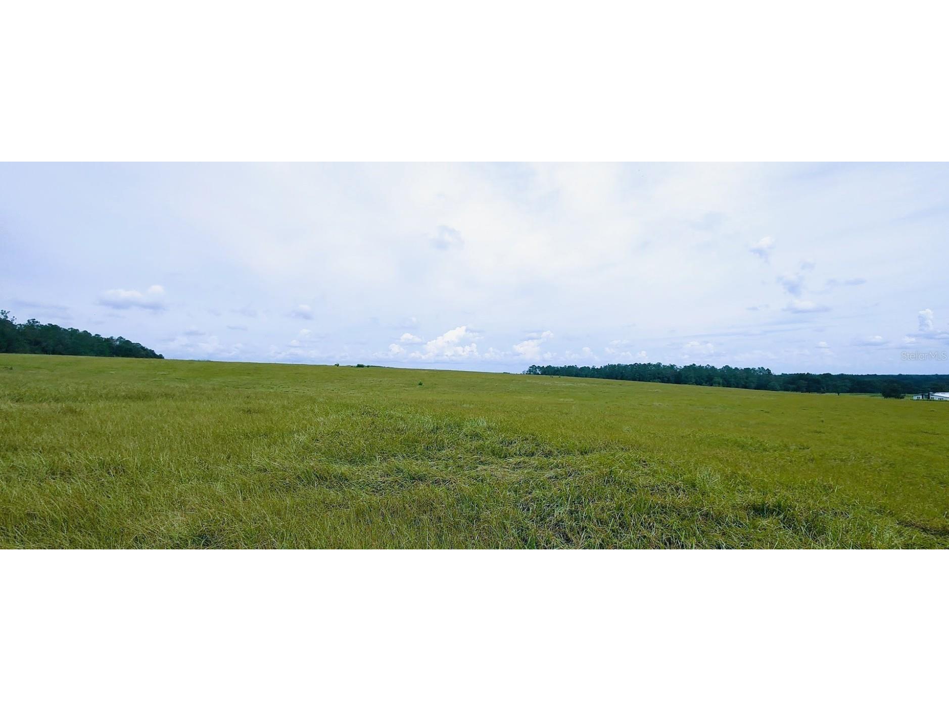 0 Hilltop Horizons Place Dade City FL 33525 TB8401617 image5