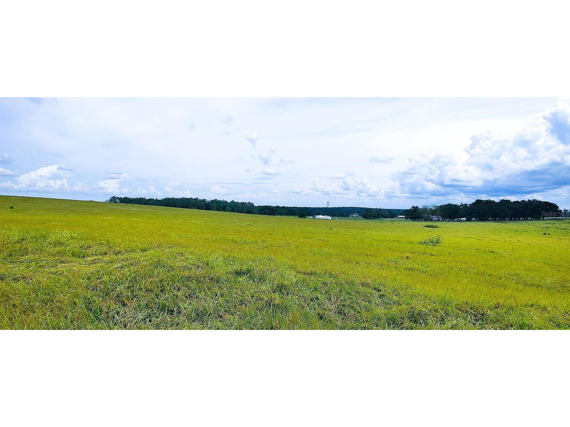 0 Hilltop Horizons Place Dade City FL 33525 TB8401617 image6