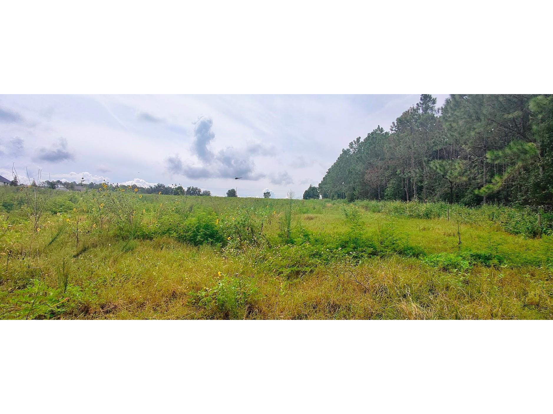 0 Hilltop Horizons Place Dade City FL 33525 TB8401617 image7