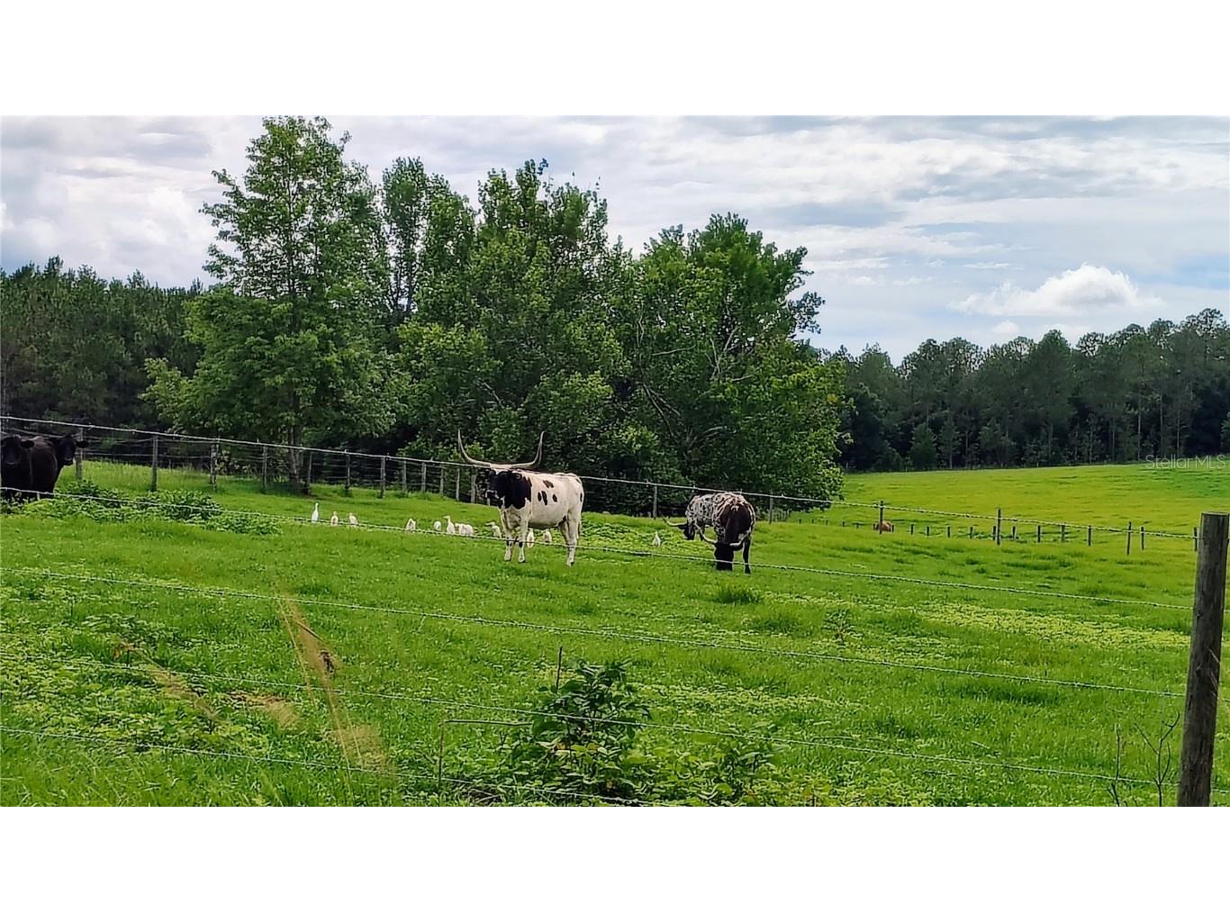 0 Hilltop Horizons Place Dade City FL 33525 TB8401617 image8