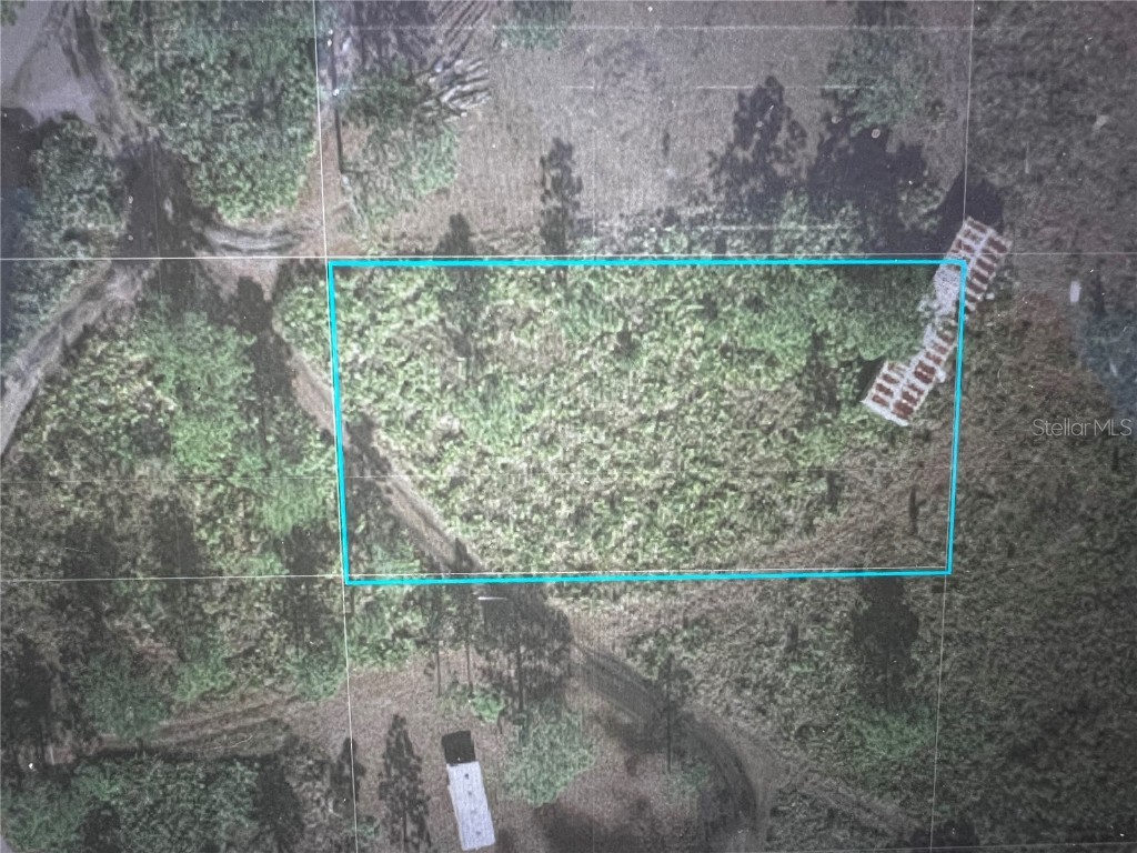 0 Holopaw Saint Cloud FL 34771 W7874739 image1