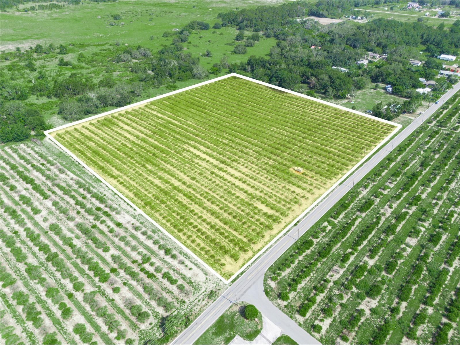0 Hopson Road Frostproof FL 33843 K4902936 image2