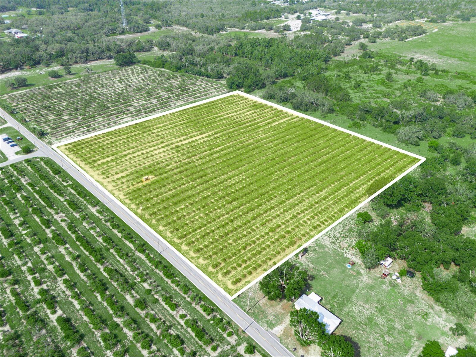 0 Hopson Road Frostproof FL 33843 K4902936 image3