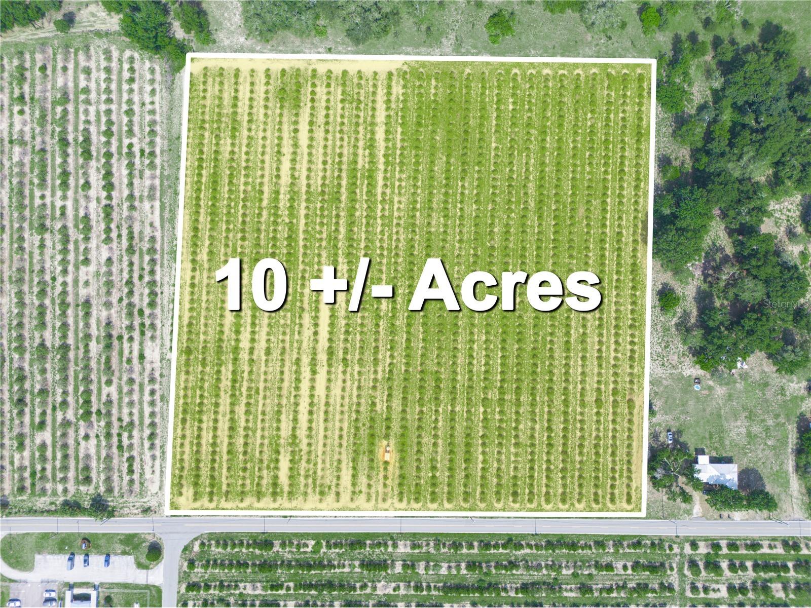 0 Hopson Road Frostproof FL 33843 K4902936 image5