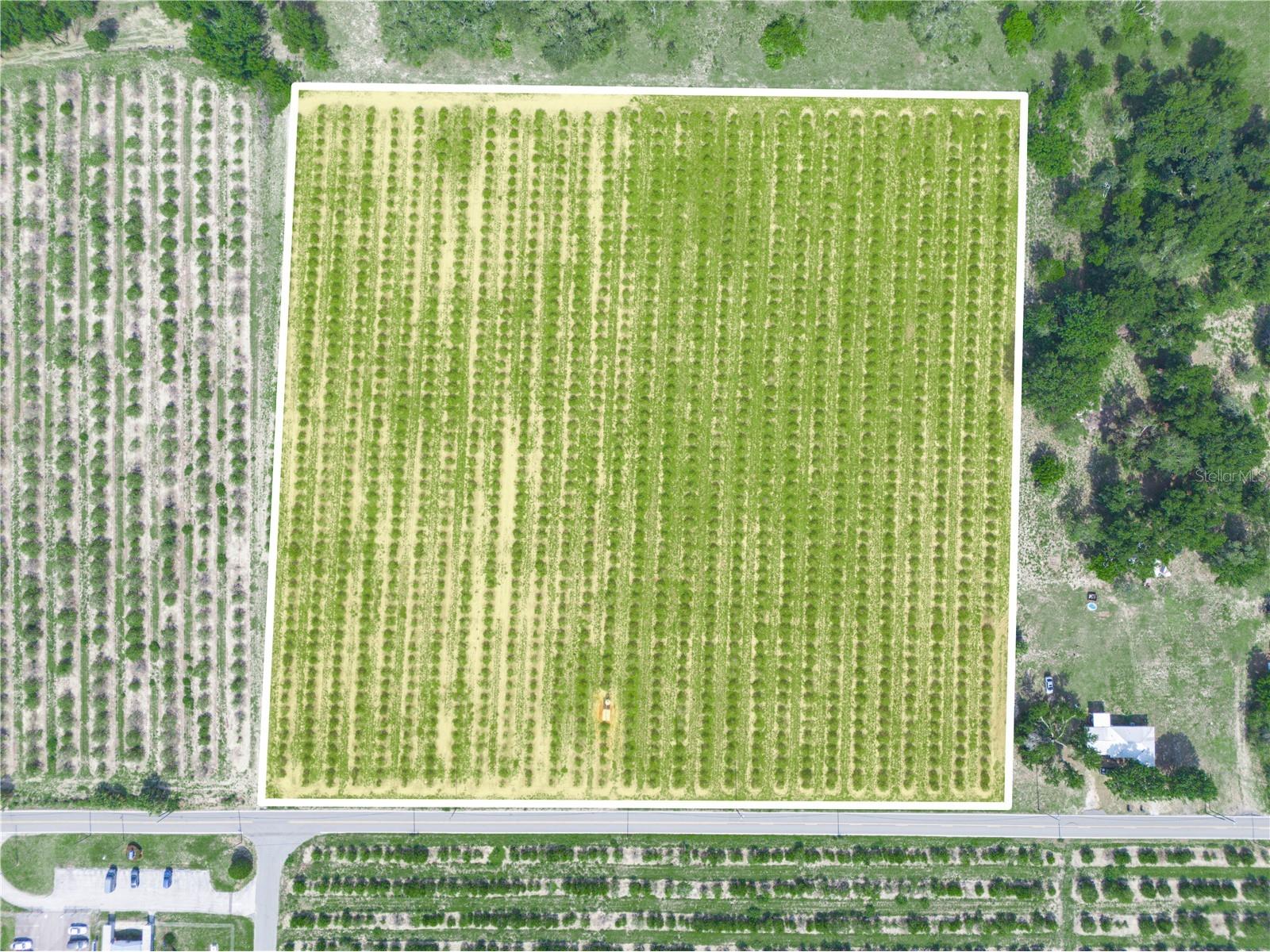 0 Hopson Road Frostproof FL 33843 K4902936 image7