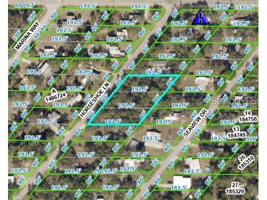 0 Horseshoe Lane Spring Hill FL 34606 W7850035 image1