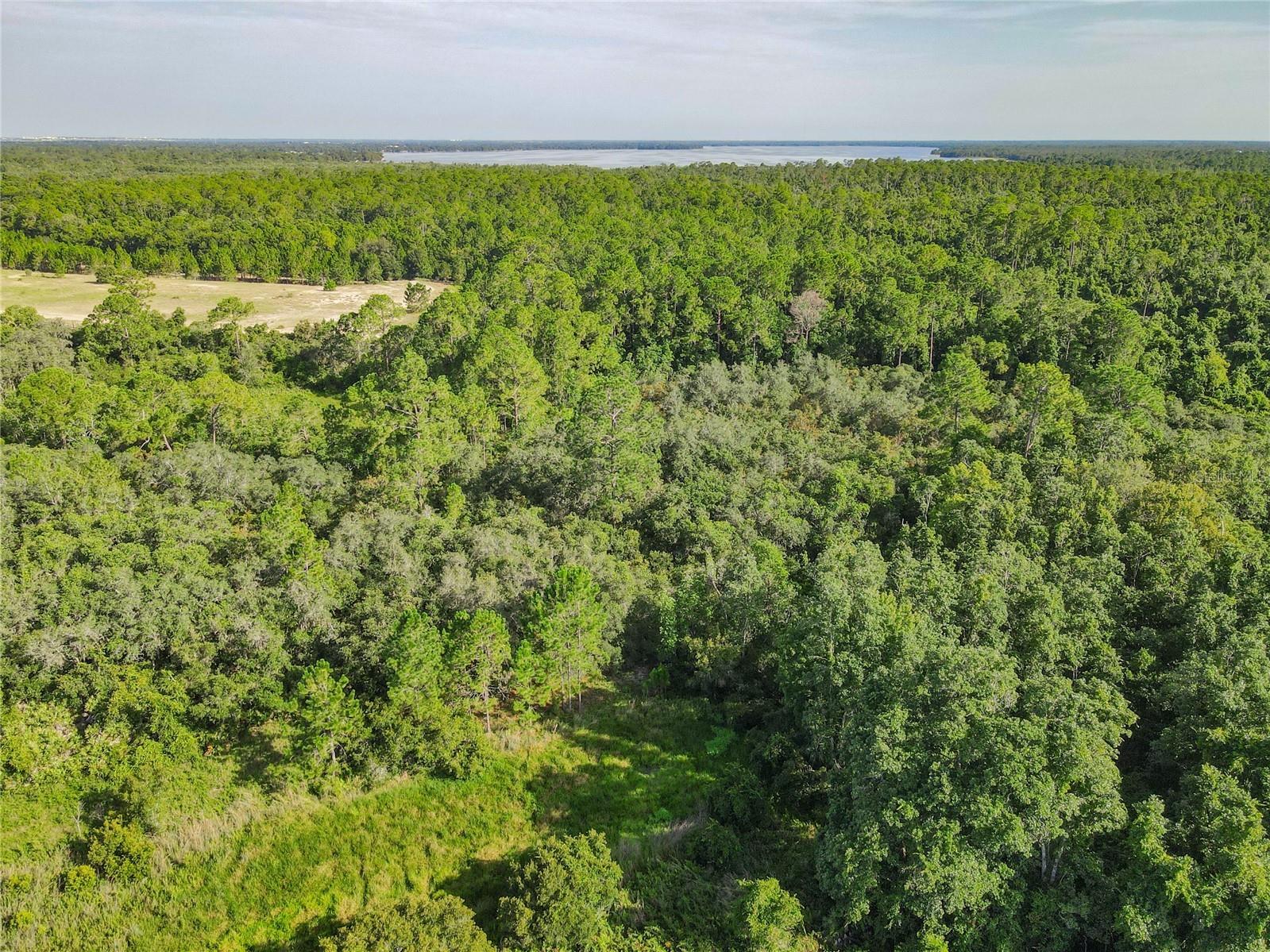 0 Hudson Valley Drive Kissimmee FL 34759 O6400907 image61