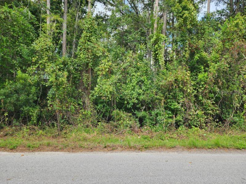 0 Huntley Street New Port Richey FL 34654 TB8439798 image2