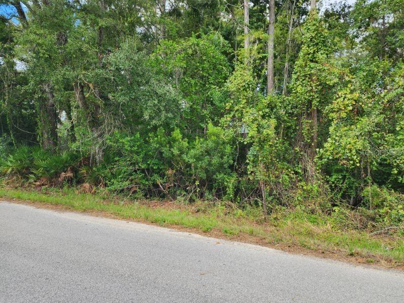 0 Huntley Street New Port Richey FL 34654 TB8439798 image4