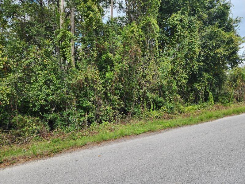 0 Huntley Street New Port Richey FL 34654 TB8439798 image6