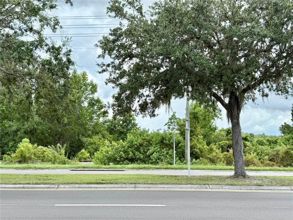 0 Hwy 41 (24-26-18-0000-03300-0010) Land O Lakes FL 34638 TB8406499 image1