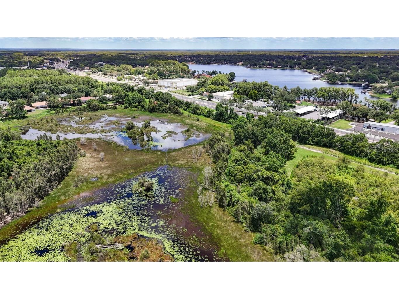 0 Hwy 41 (24-26-18-0000-03300-0010) Land O Lakes FL 34638 TB8406499 image8