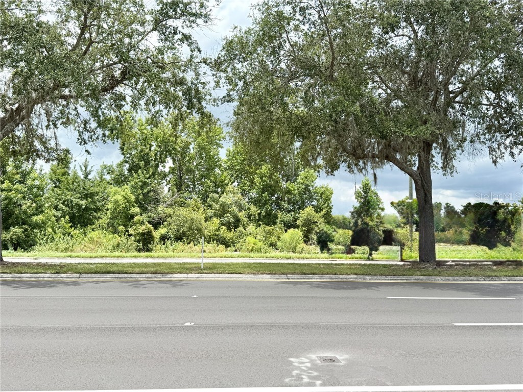 0 Hwy 41 (24-26-18-0000-03400-0010) Land O Lakes FL 34638 TB8406481 image1