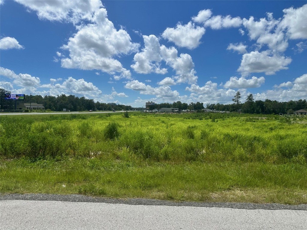 0 Hwy 441 Summerfield FL 34492 OM707384 image4