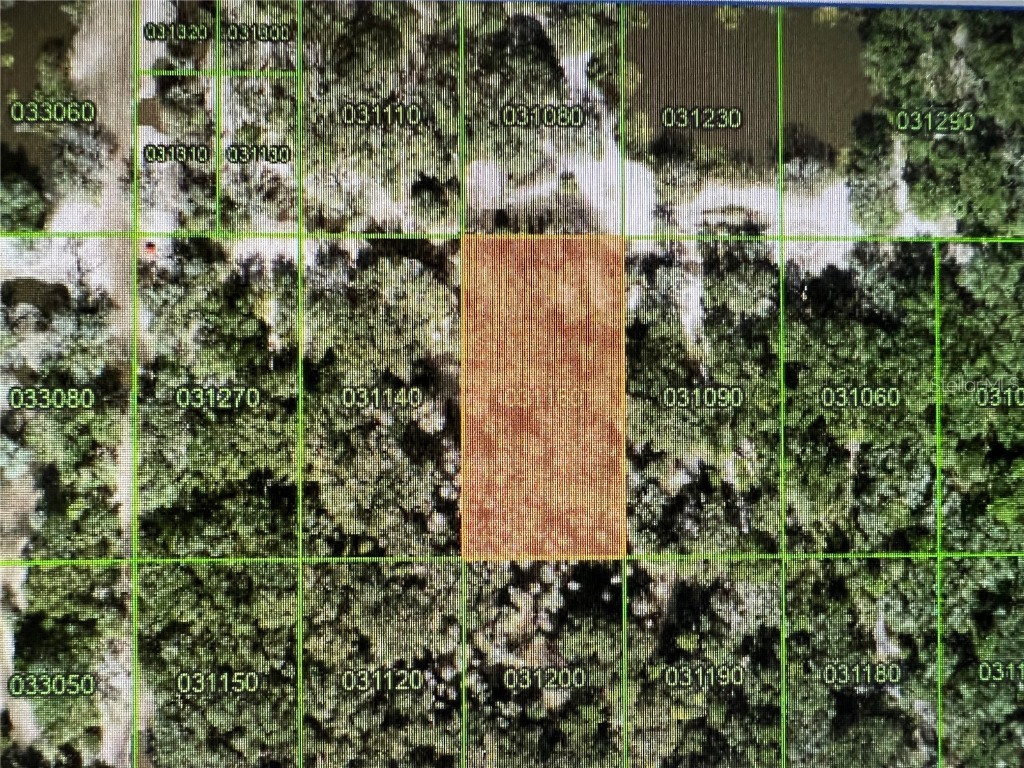 0 Hwy 54 Kathleen FL 33849 TB8358888 image1