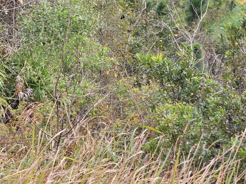 0 Hwy 60 E Lake Wales FL 33898 U8227657 image1