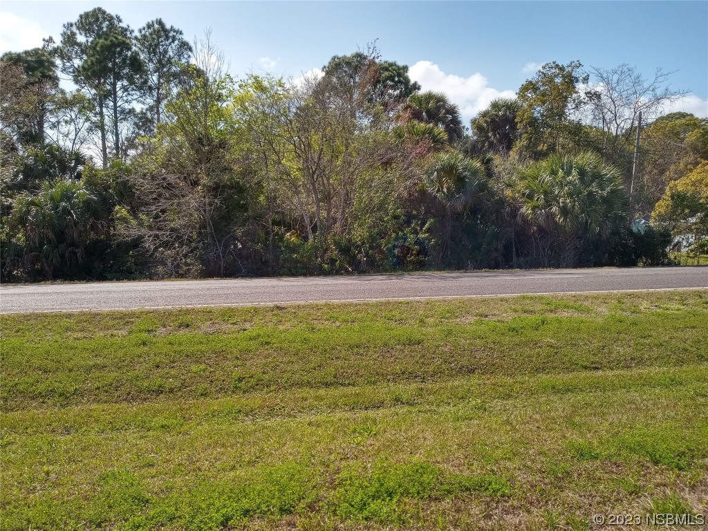 0 Highway Us 1 Oak Hill FL 32759 NS1074088 image1