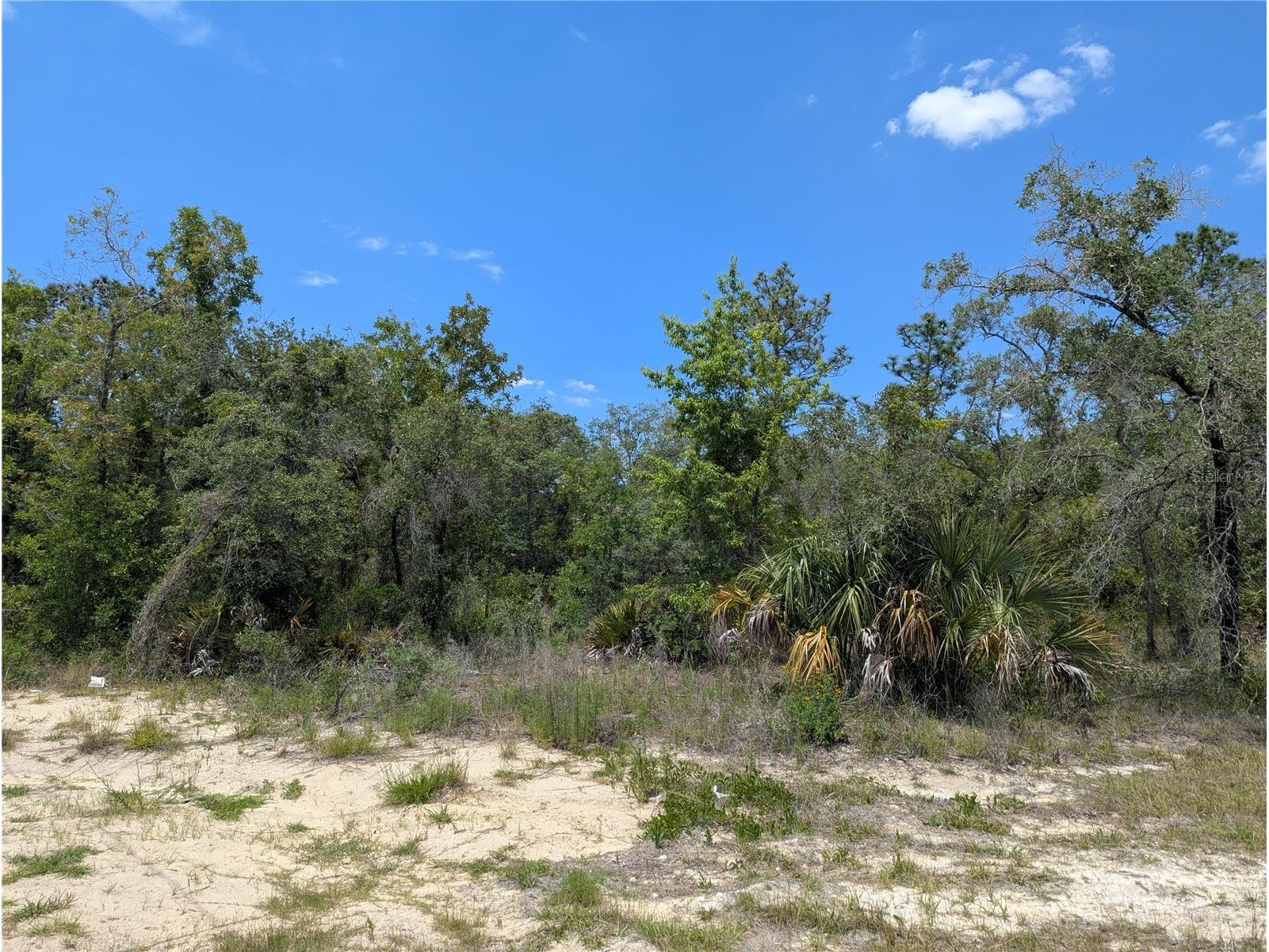 0 Ibis Road Brooksville FL 34614 W7885447 image10
