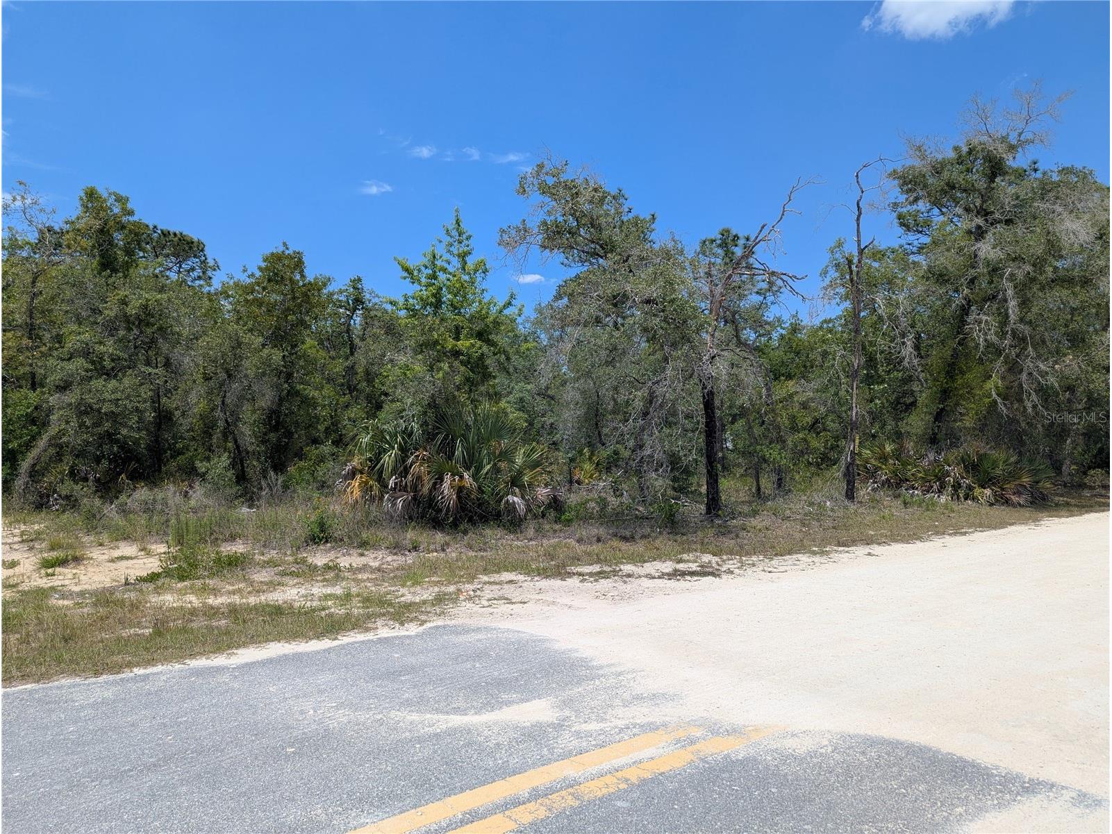 0 Ibis Road Brooksville FL 34614 W7885447 image11