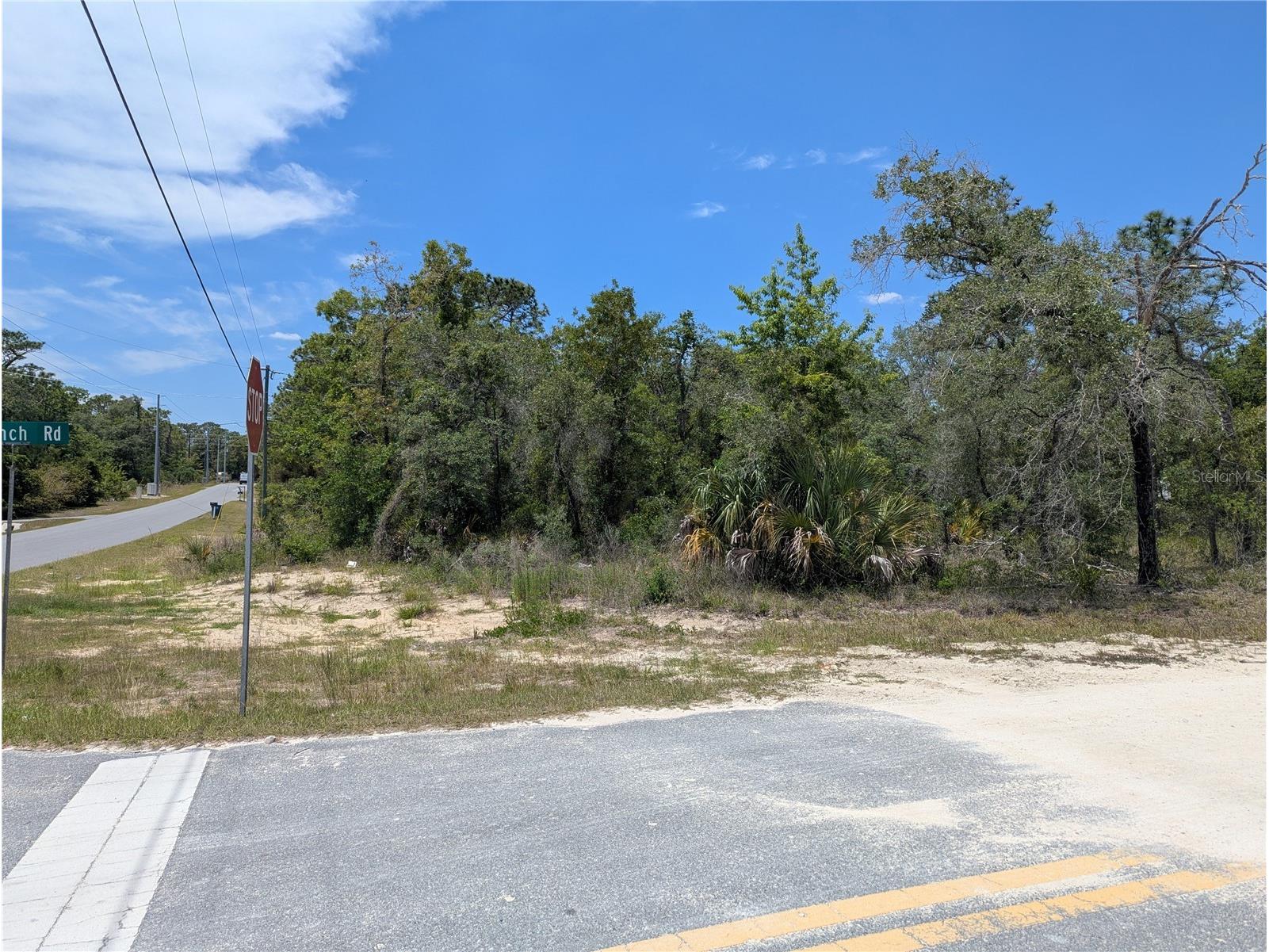 0 Ibis Road Brooksville FL 34614 W7885447 image12