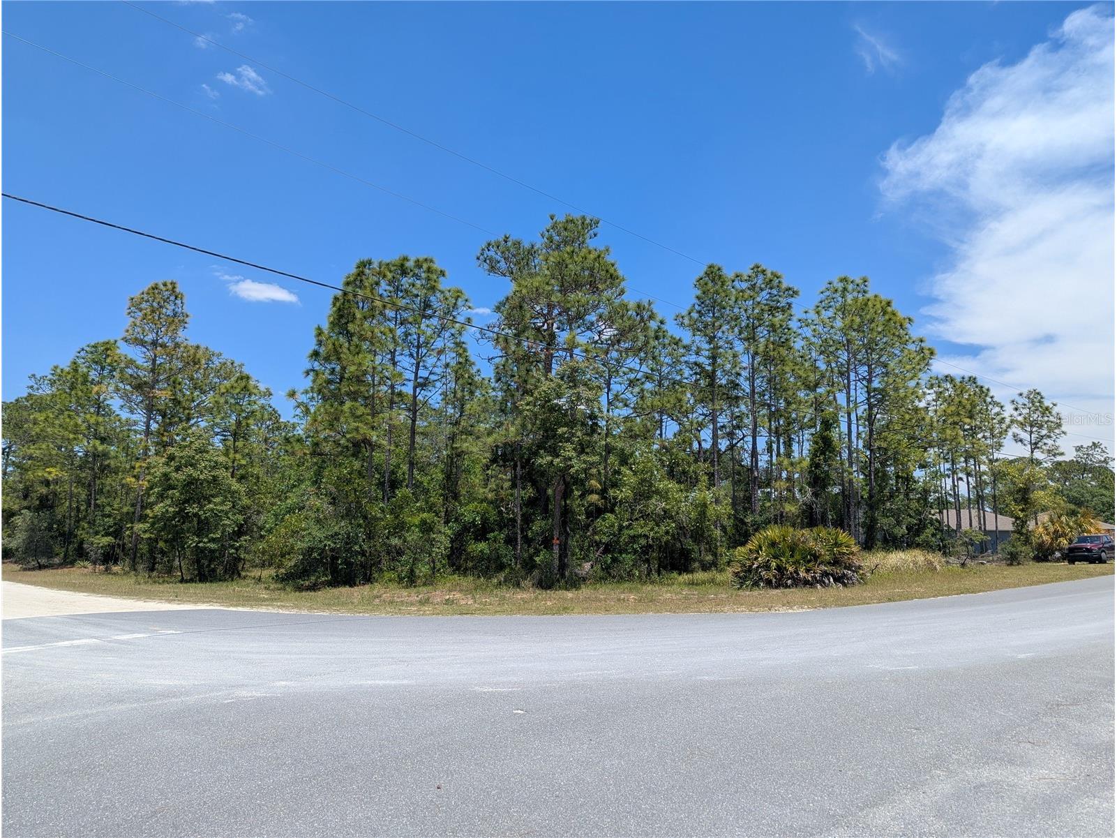 0 Ibis Road Brooksville FL 34614 W7885447 image4