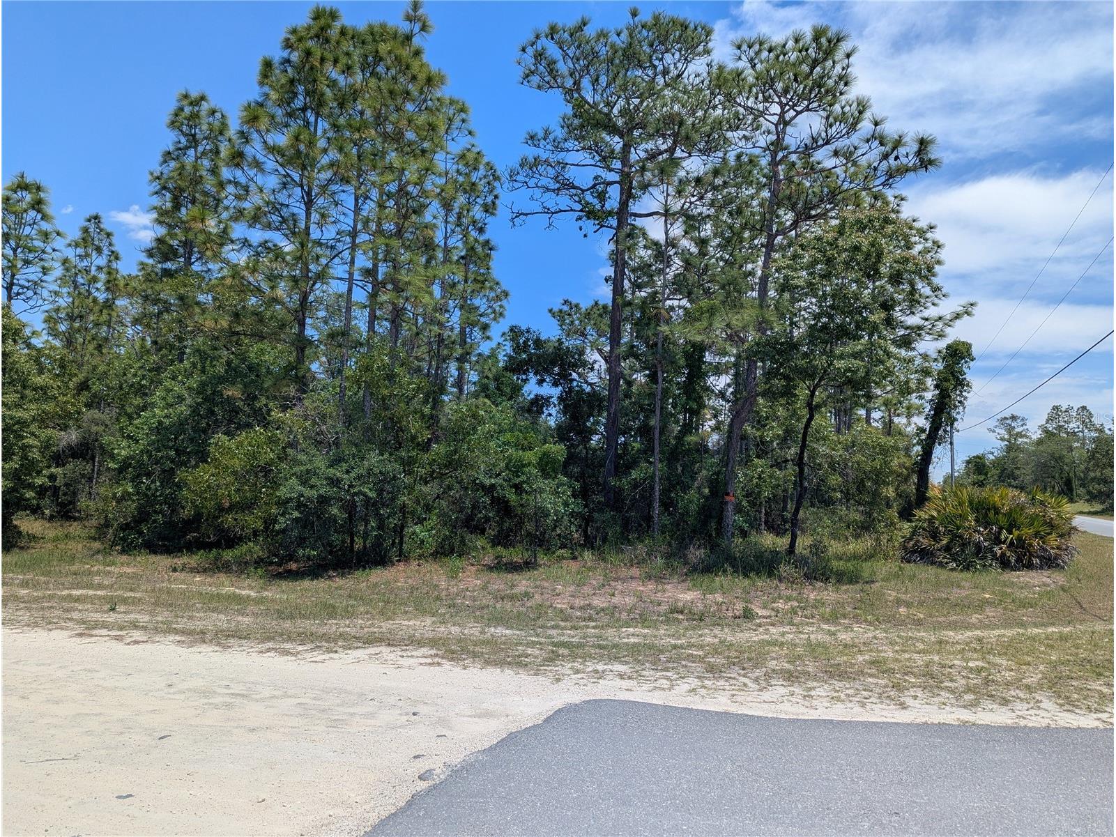0 Ibis Road Brooksville FL 34614 W7885447 image5