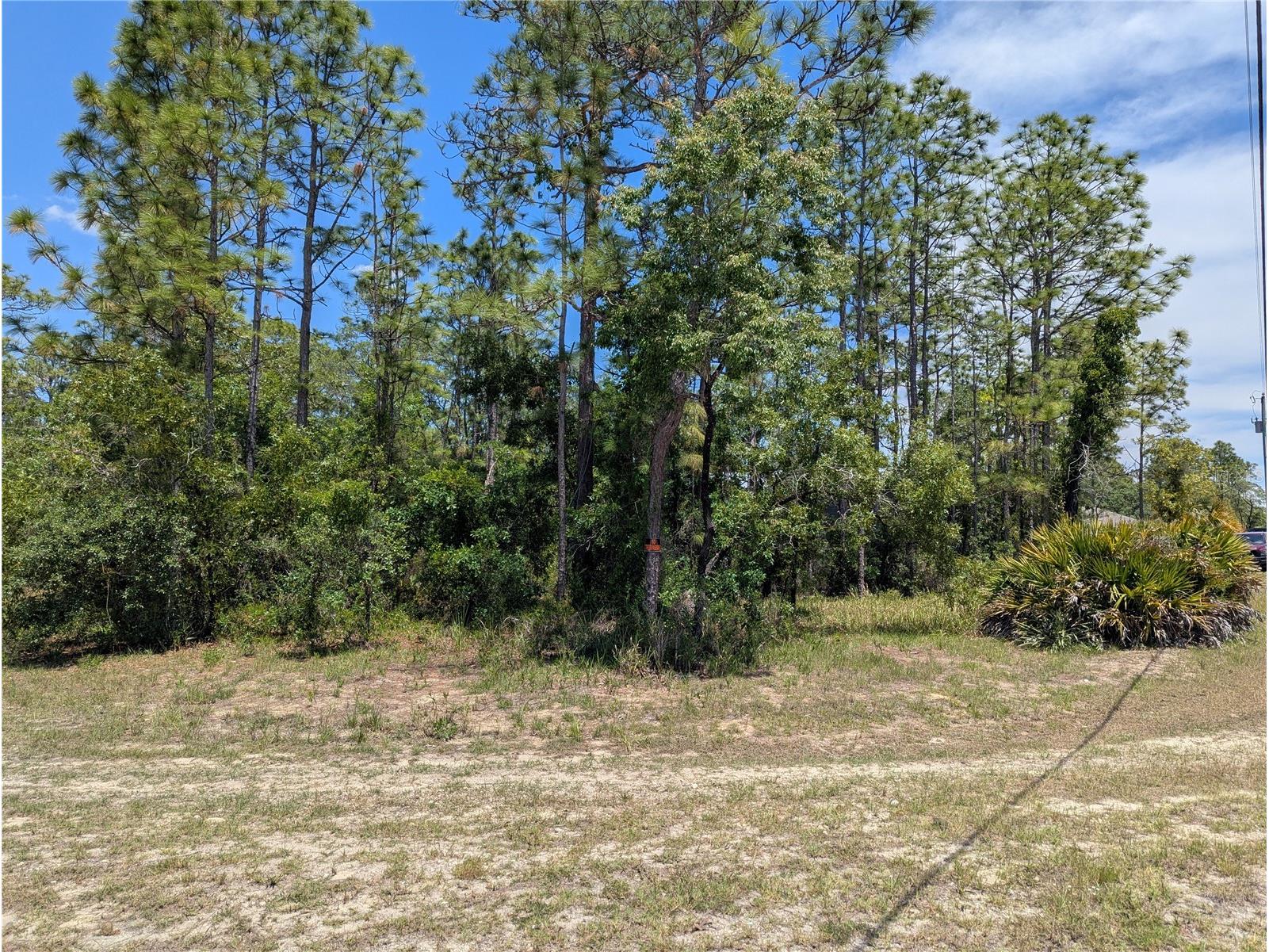 0 Ibis Road Brooksville FL 34614 W7885447 image6