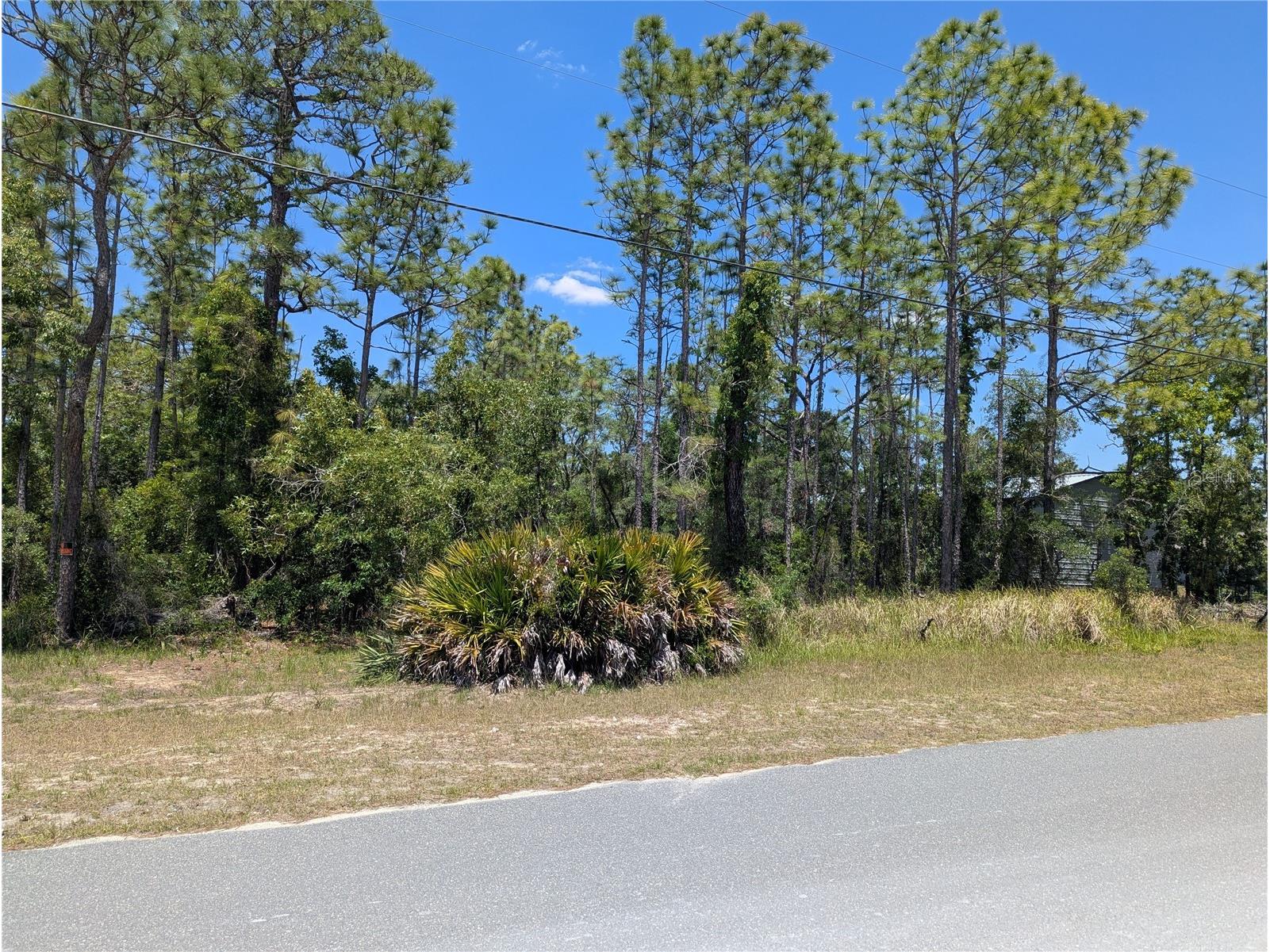 0 Ibis Road Brooksville FL 34614 W7885447 image7