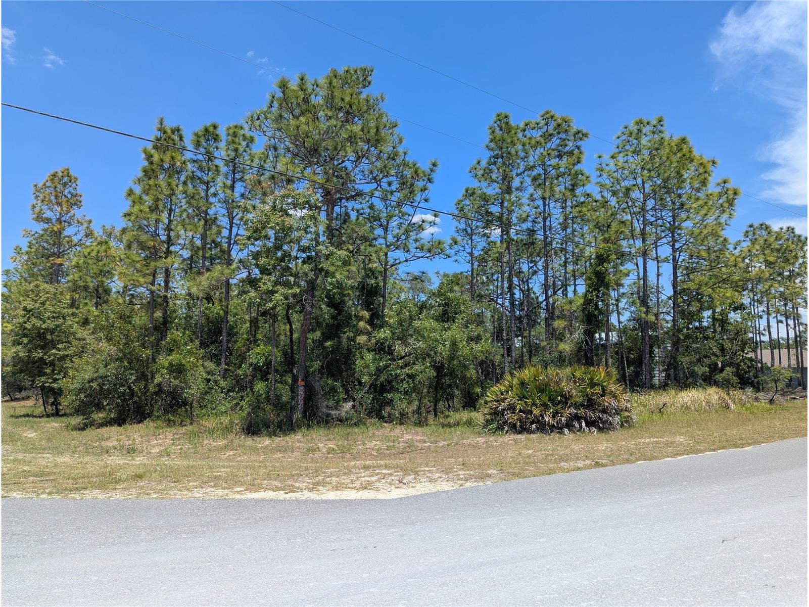 0 Ibis Road Brooksville FL 34614 W7885447 image8