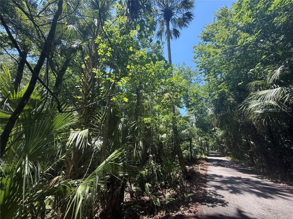 0 Independence Avenue Oviedo FL 32765 O6313305 image7