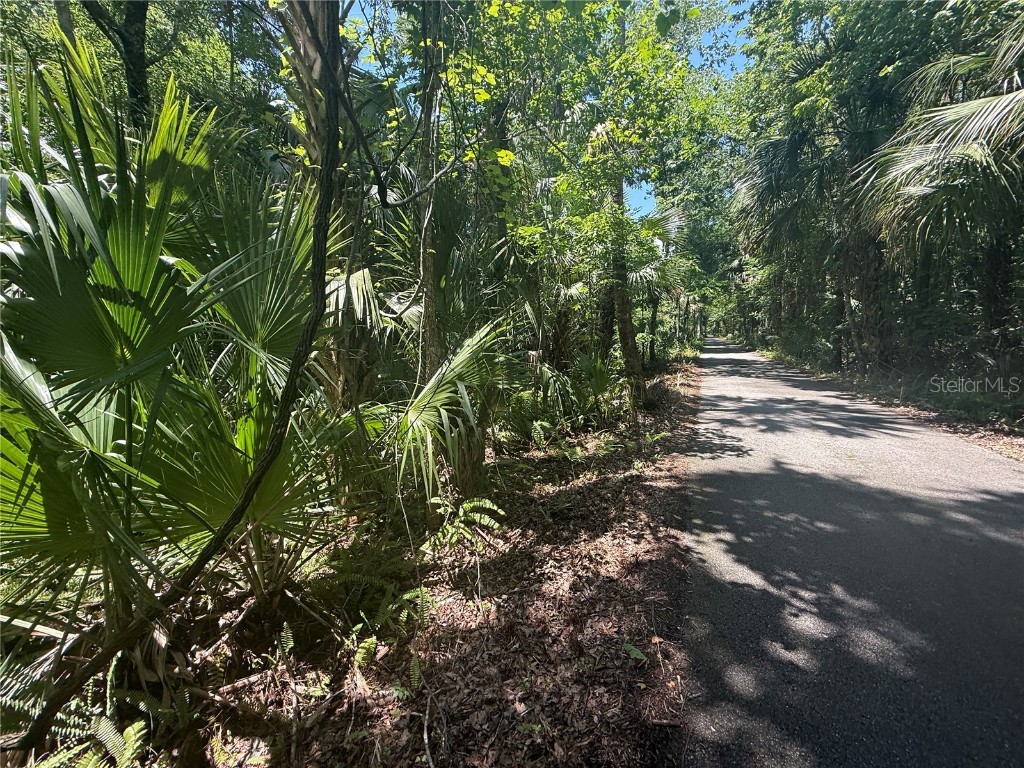 0 Independence Avenue Oviedo FL 32765 O6313305 image8