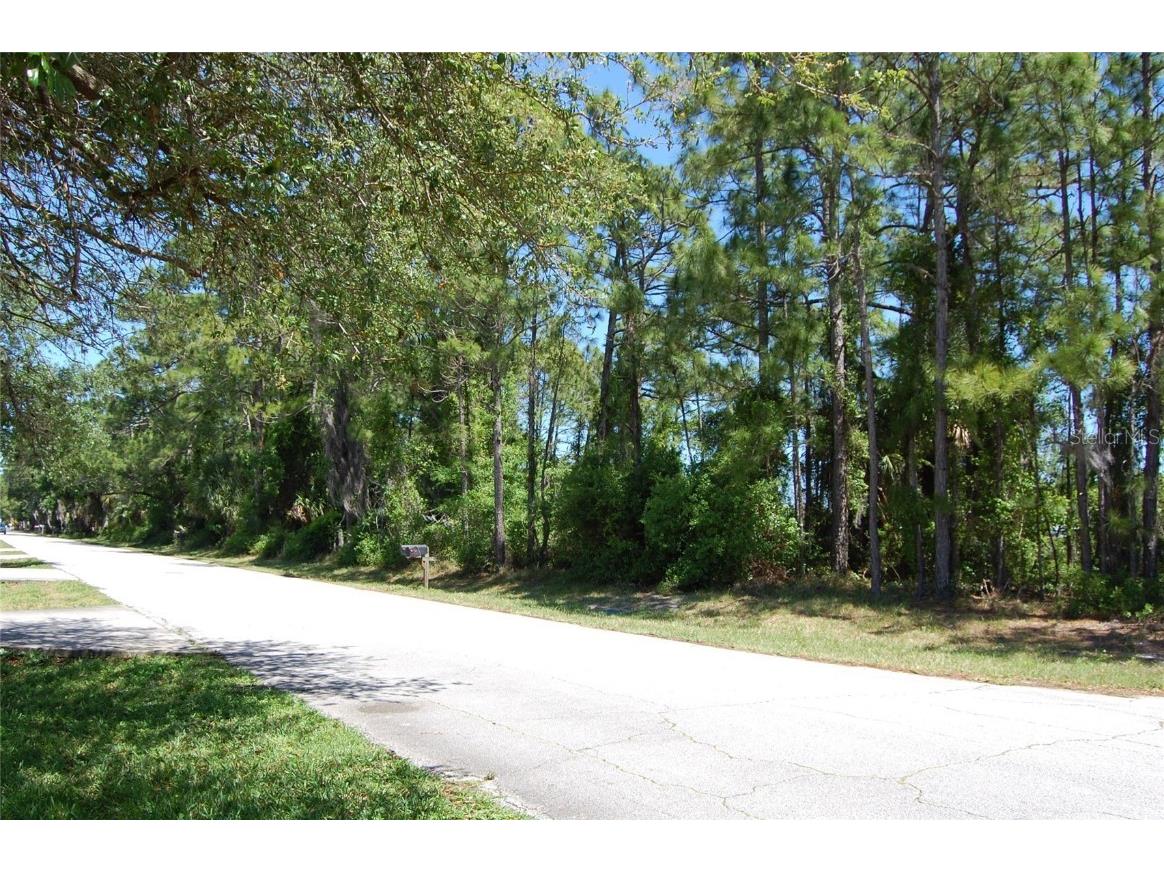 0 India Palm Drive Edgewater FL 32141 NS1081220 image1