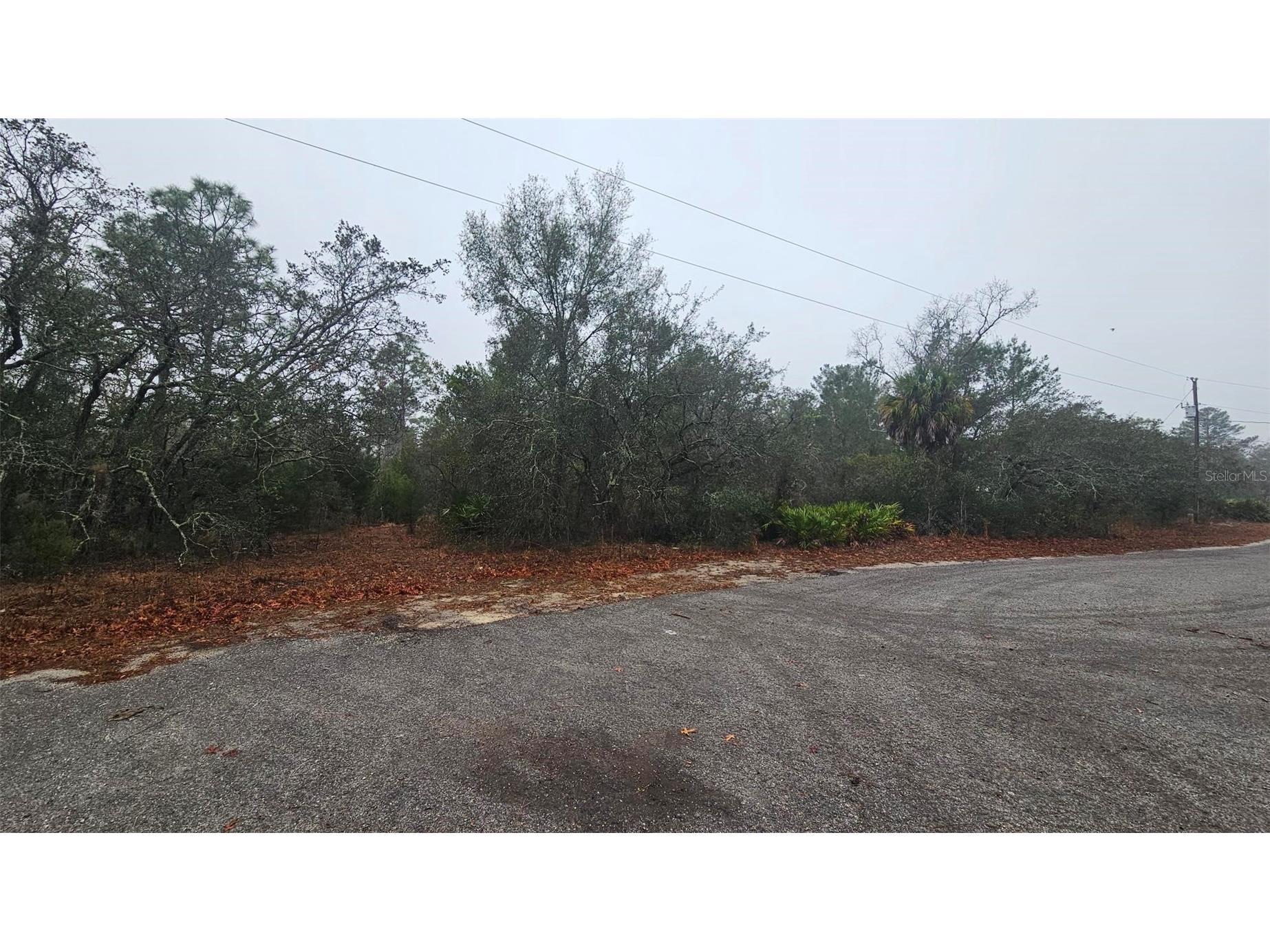 0 Indian Trail Road Weeki Wachee FL 34613 W7882786 image1