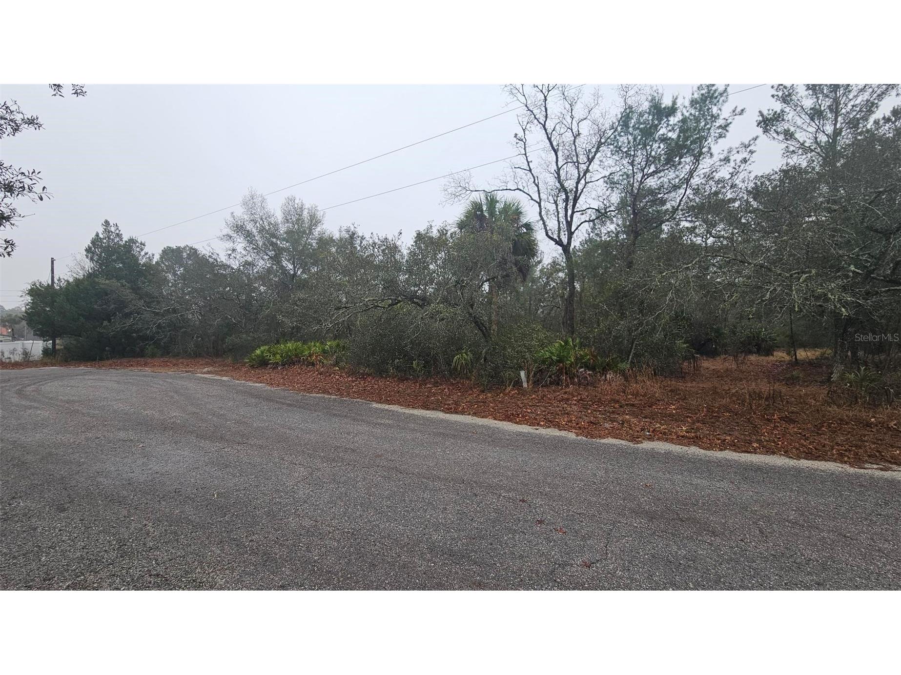 0 Indian Trail Road Weeki Wachee FL 34613 W7882786 image2