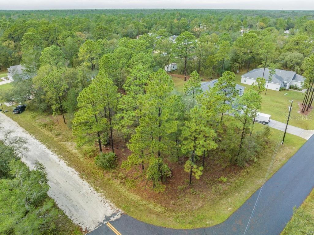 0 Ipswich Sparrow Road Weeki Wachee FL 34614 T3478084 image1