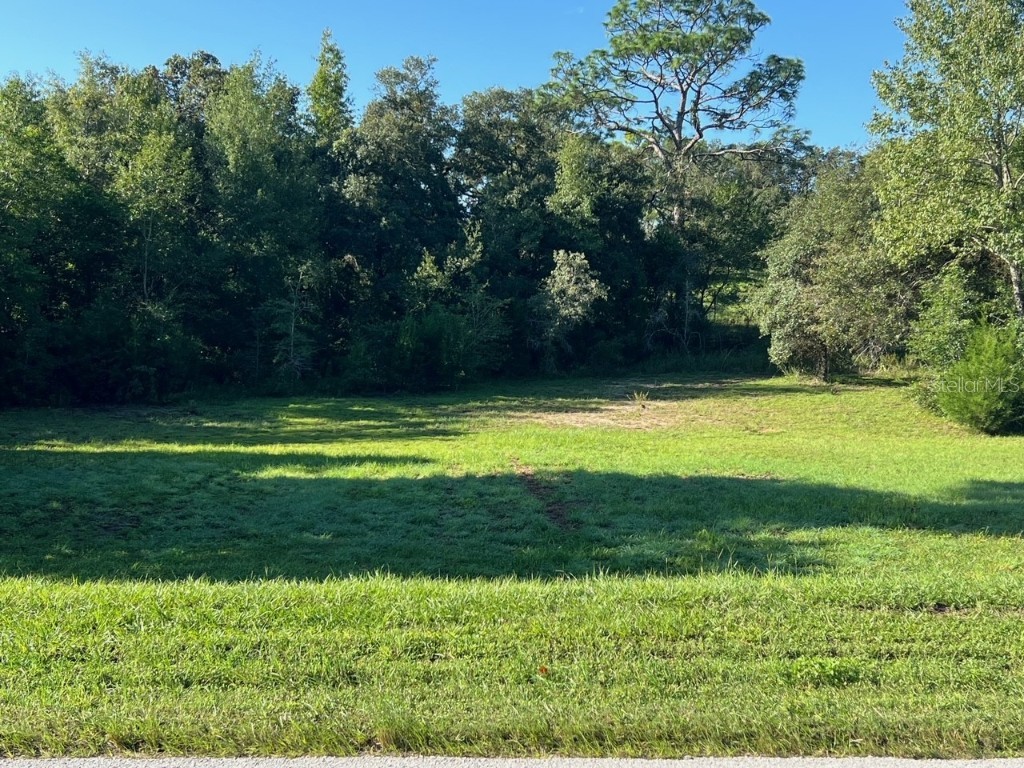 0 Irving Street Spring Hill FL 34609 TB8302069 image1