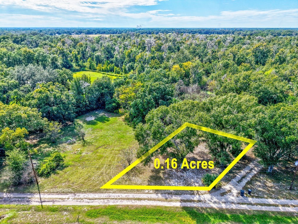 0 Ivy Branch Lane Lakeland FL 33810 TB8443407 image1