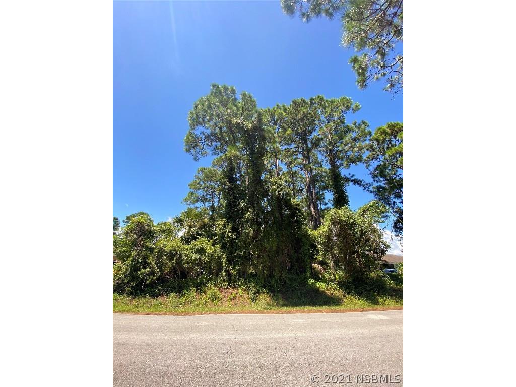 0 India Palm Drive Edgewater FL 32141 NS1065833 image1