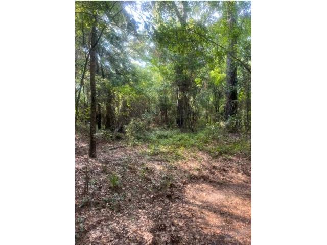 0 J&J Lane Quincy FL 32351 O6321078 image1