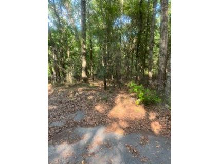 0 J&J Lane Quincy FL 32351 O6321078 image5