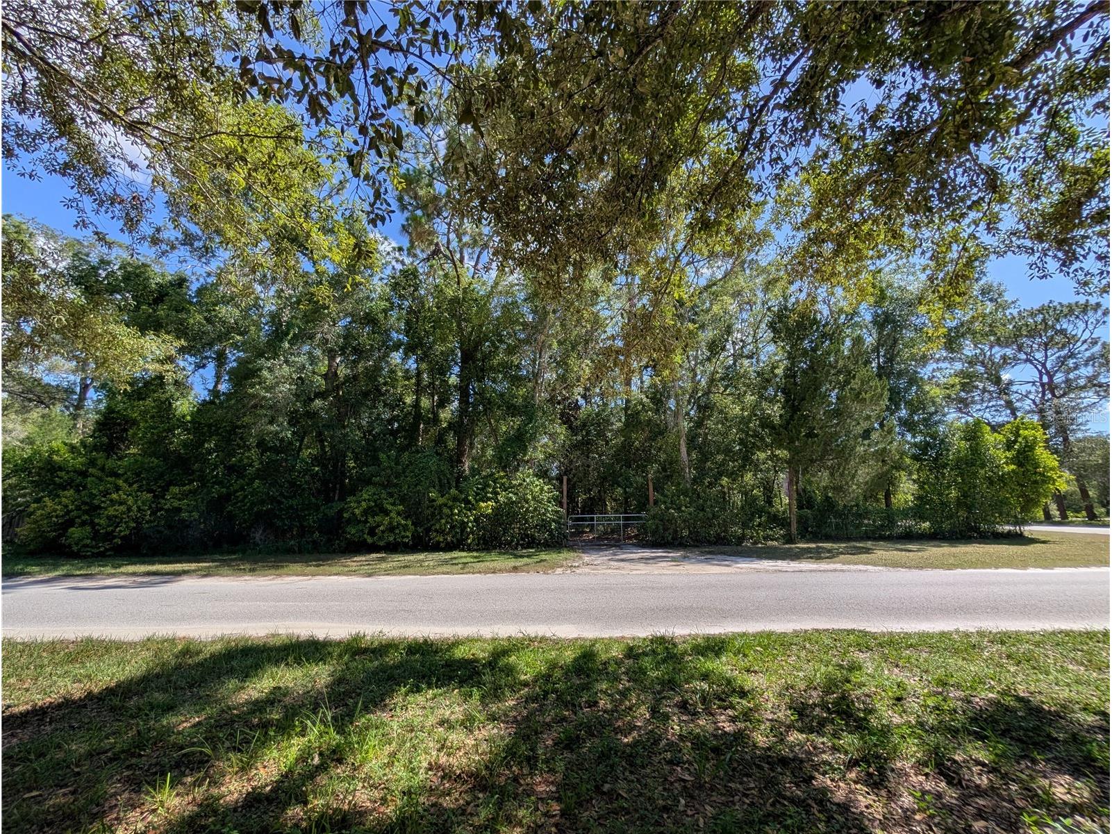 0 Jackson Avenue Brooksville FL 34604 TB8522675 image1