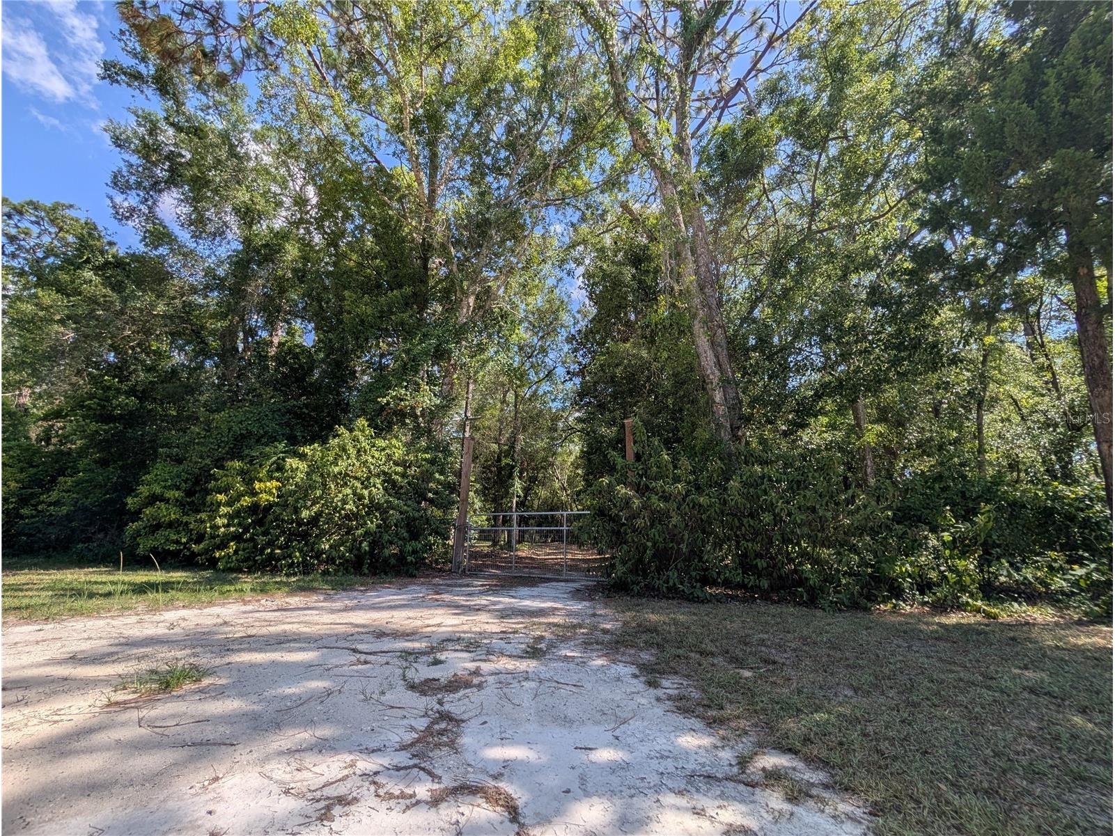 0 Jackson Avenue Brooksville FL 34604 TB8522675 image11