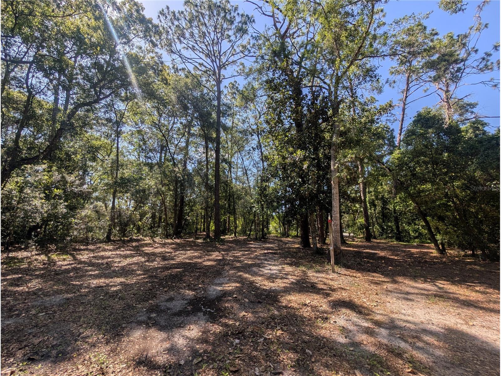 0 Jackson Avenue Brooksville FL 34604 TB8522675 image12