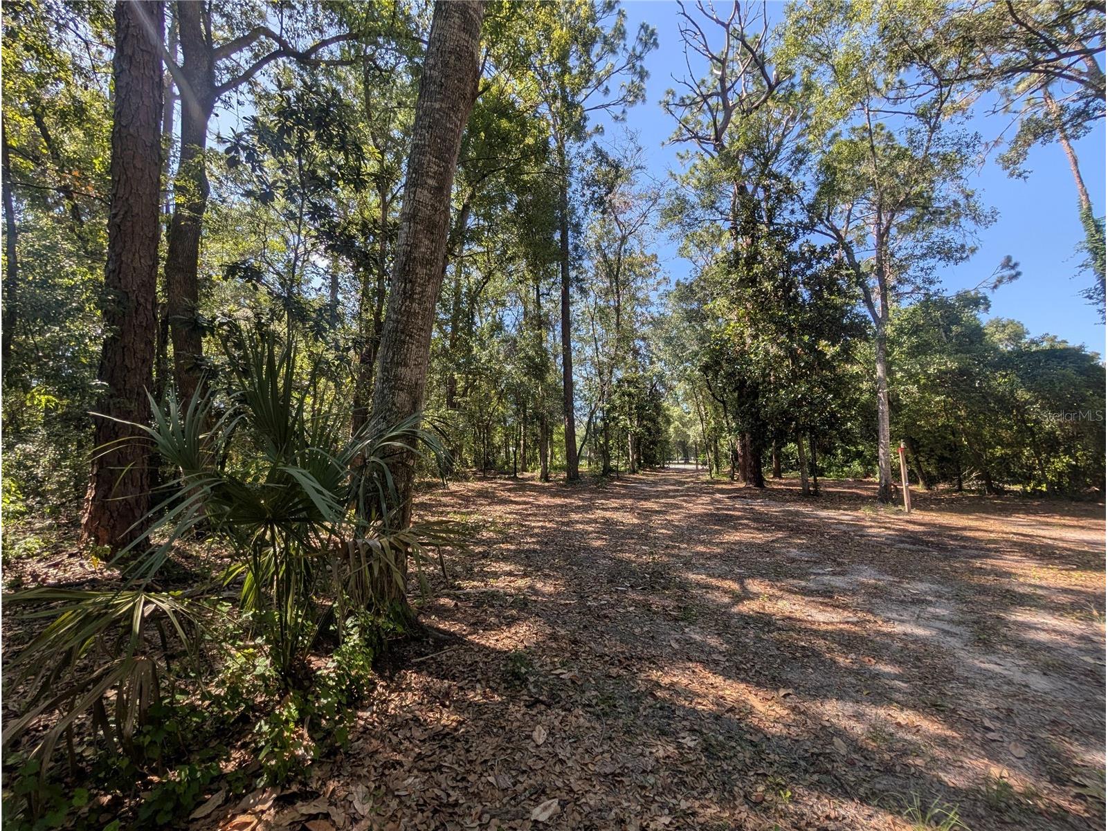 0 Jackson Avenue Brooksville FL 34604 TB8522675 image14