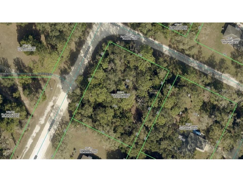 0 Jackson Avenue Brooksville FL 34604 TB8522675 image18