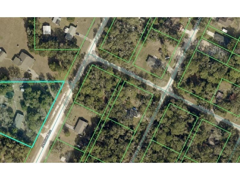 0 Jackson Avenue Brooksville FL 34604 TB8522675 image21
